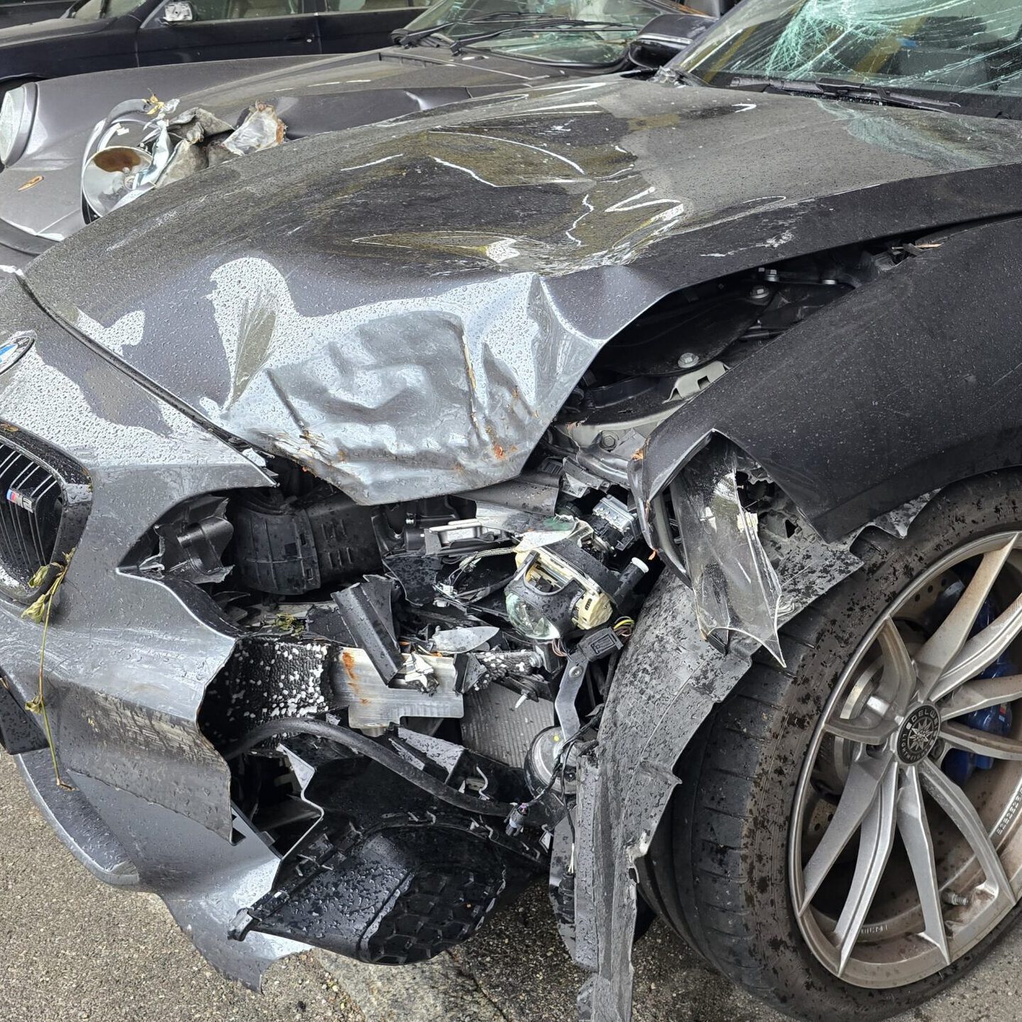 whatsapp image 2024 10 16 at 12.39.21 (4)